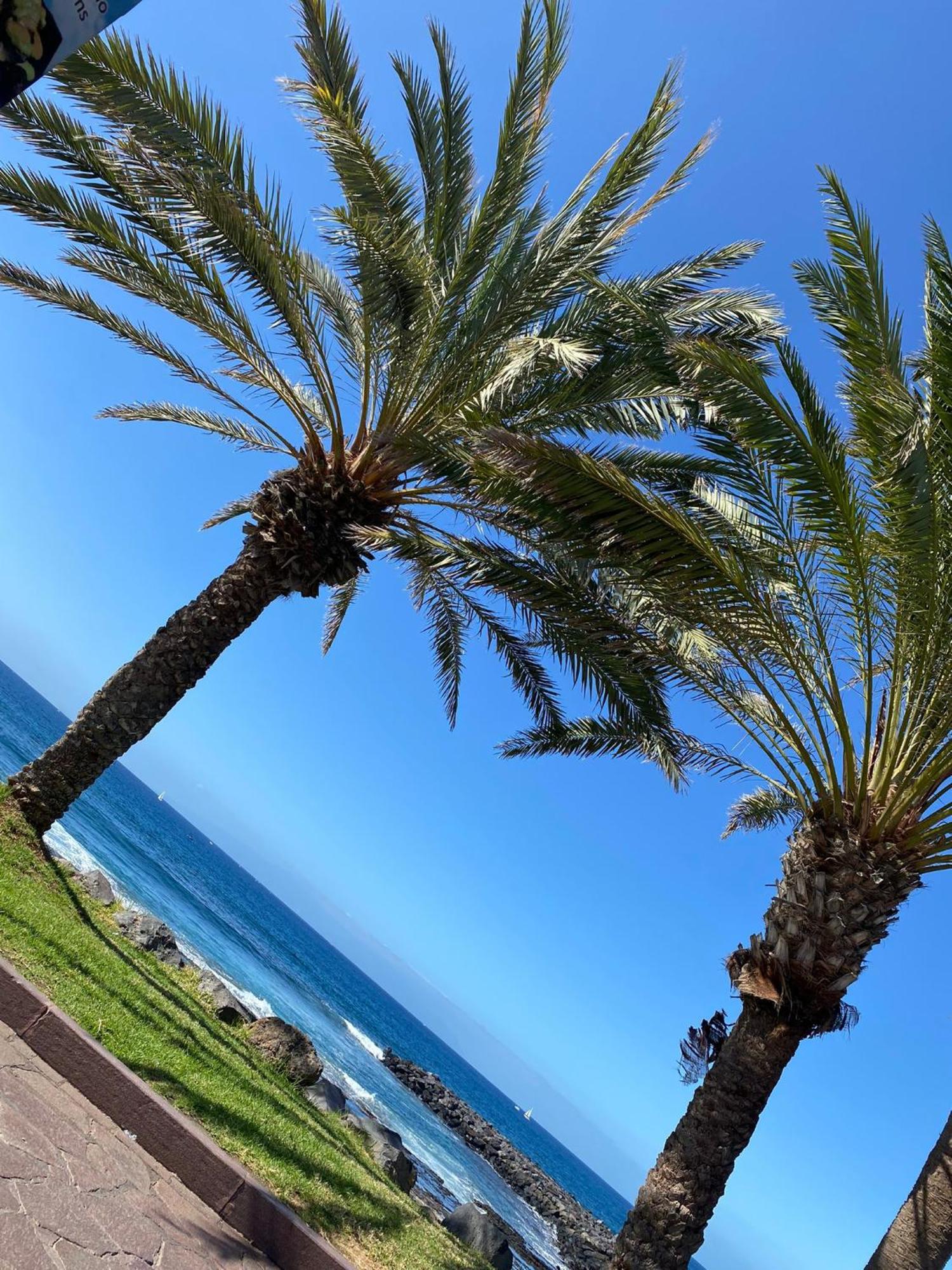 Coconut Apartament In Garden City Playa Feñabe Zewnętrze zdjęcie